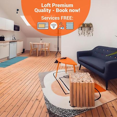 Châteauroux Loft Lumineux Tres Spacieux - Parking Gratuit מראה חיצוני תמונה